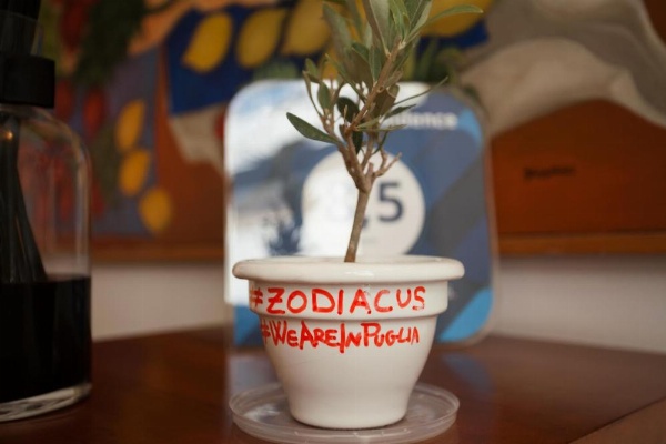 Zodiacus Residence image 9